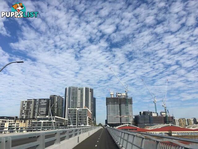 Level 8 & 21/11 Wentworth Place WENTWORTH POINT NSW 2127