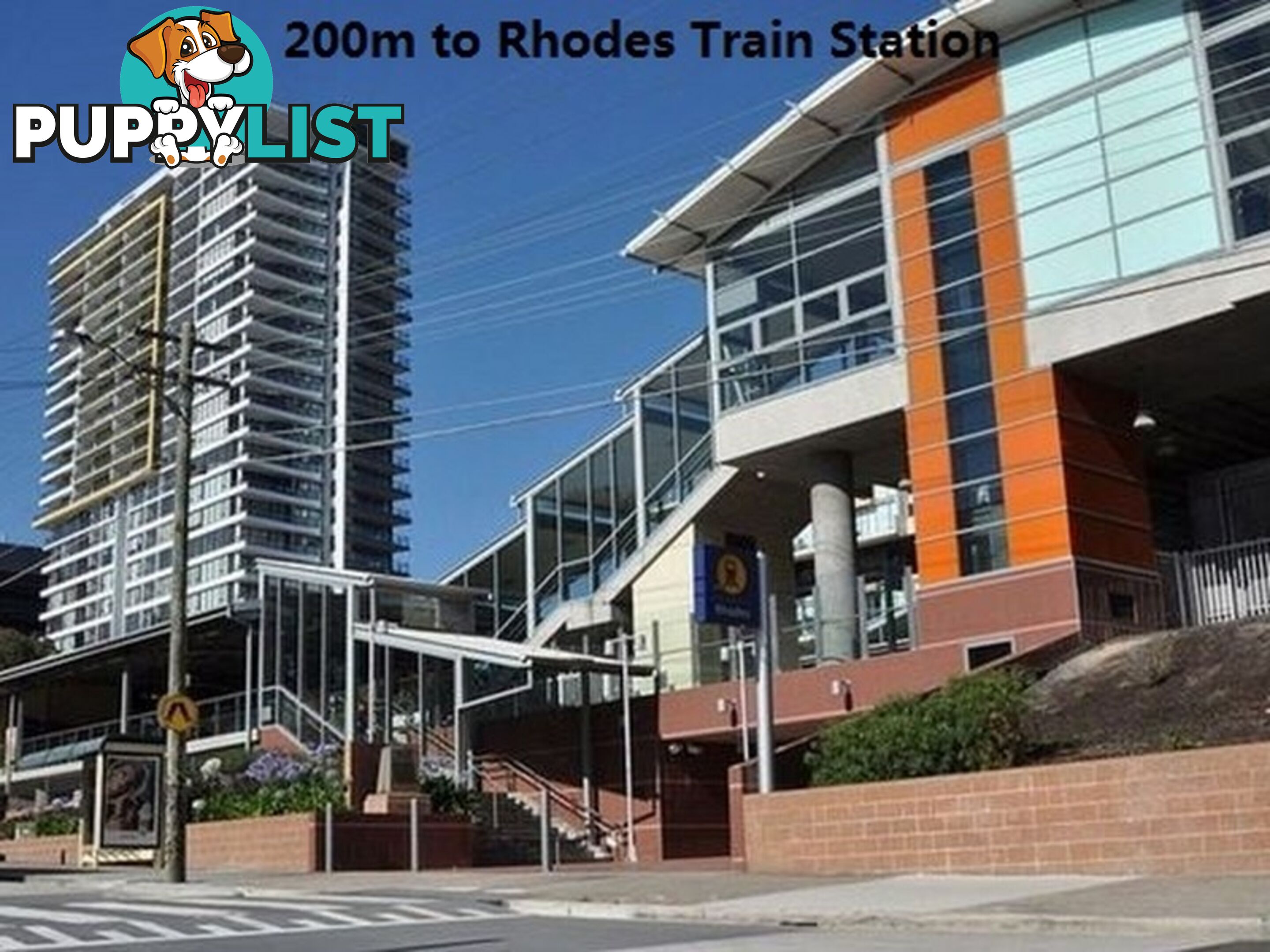 7 Rider Blvd RHODES NSW 2138