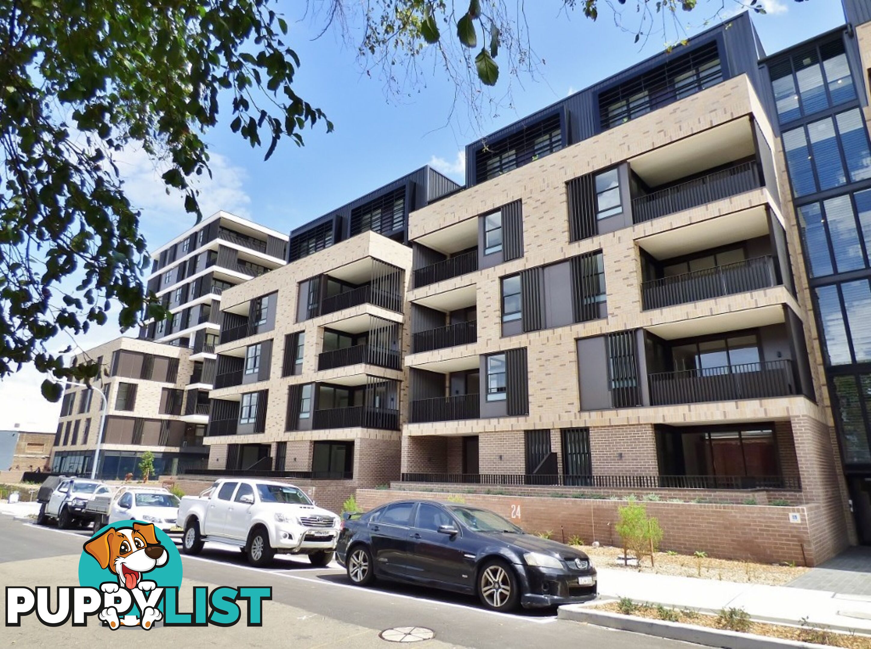 302/25 Upward Street LEICHHARDT NSW 2040