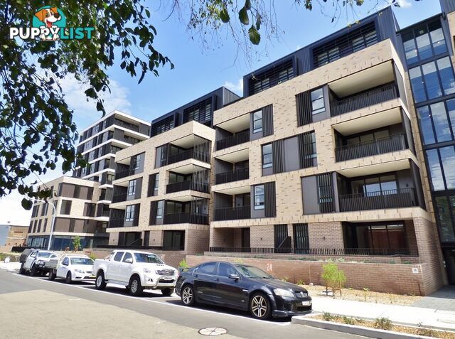 302/25 Upward Street LEICHHARDT NSW 2040