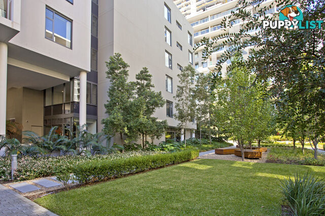 304/19 Shoreline Drive RHODES NSW 2138