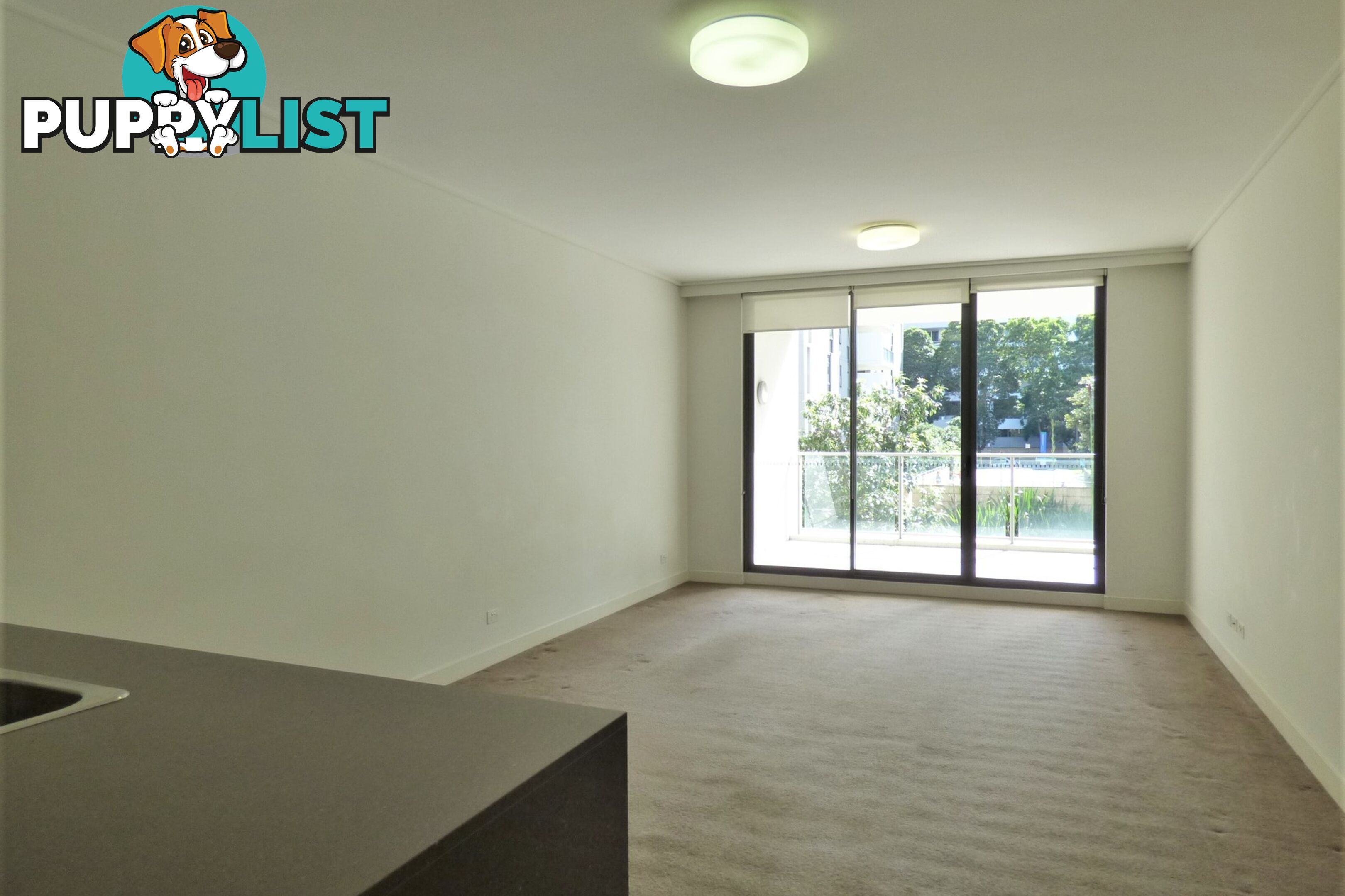 304/19 Shoreline Drive RHODES NSW 2138