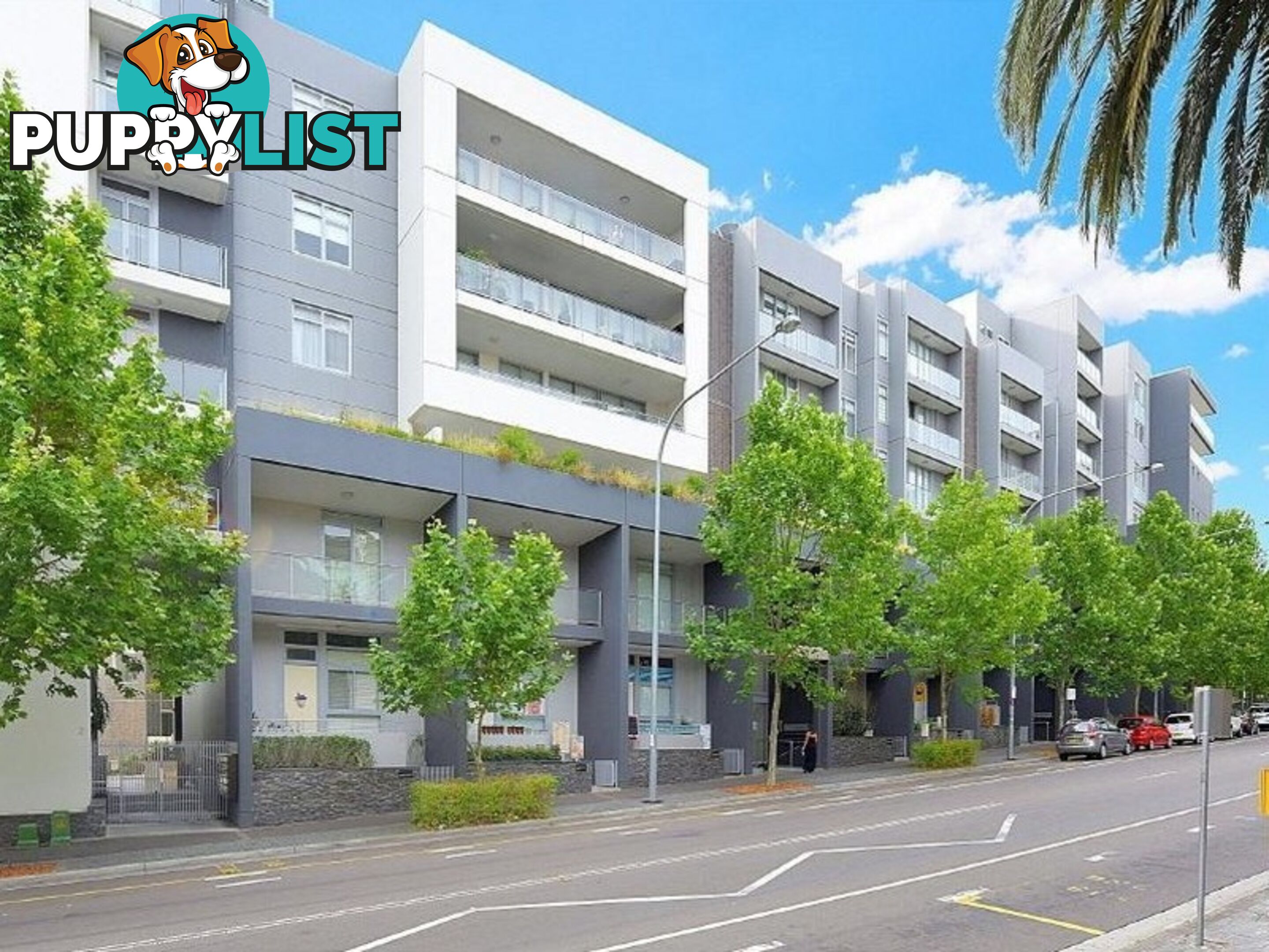 602/10 Rider Boulevard RHODES NSW 2138