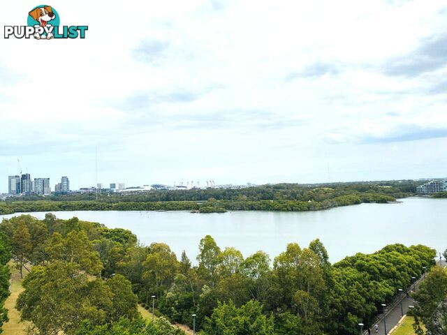 702/2 RIDER BLVD RHODES NSW 2138