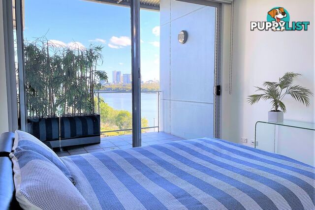 403/11 Lewis Avenue RHODES NSW 2138