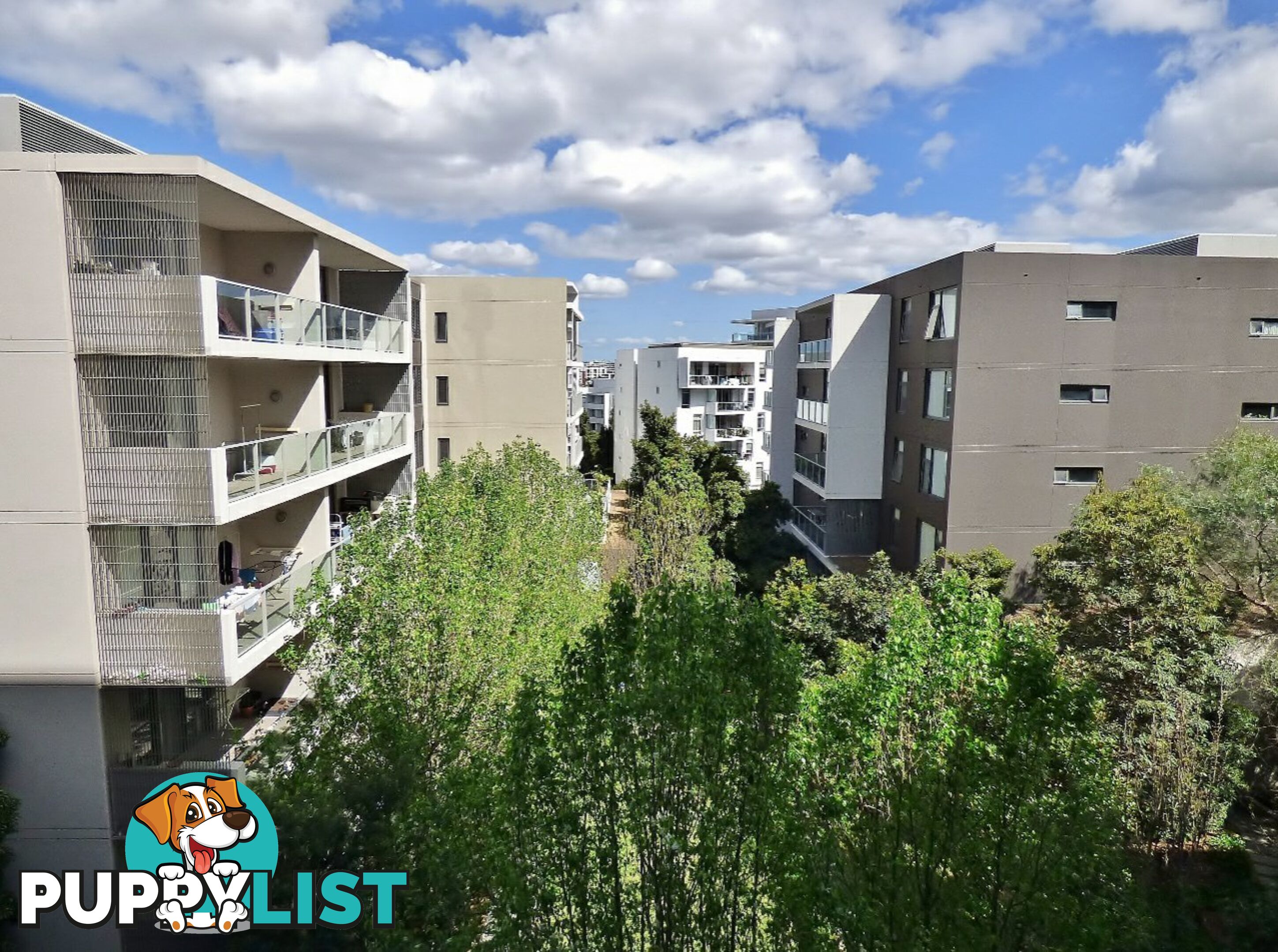 305/76 Rider Boulevard RHODES NSW 2138