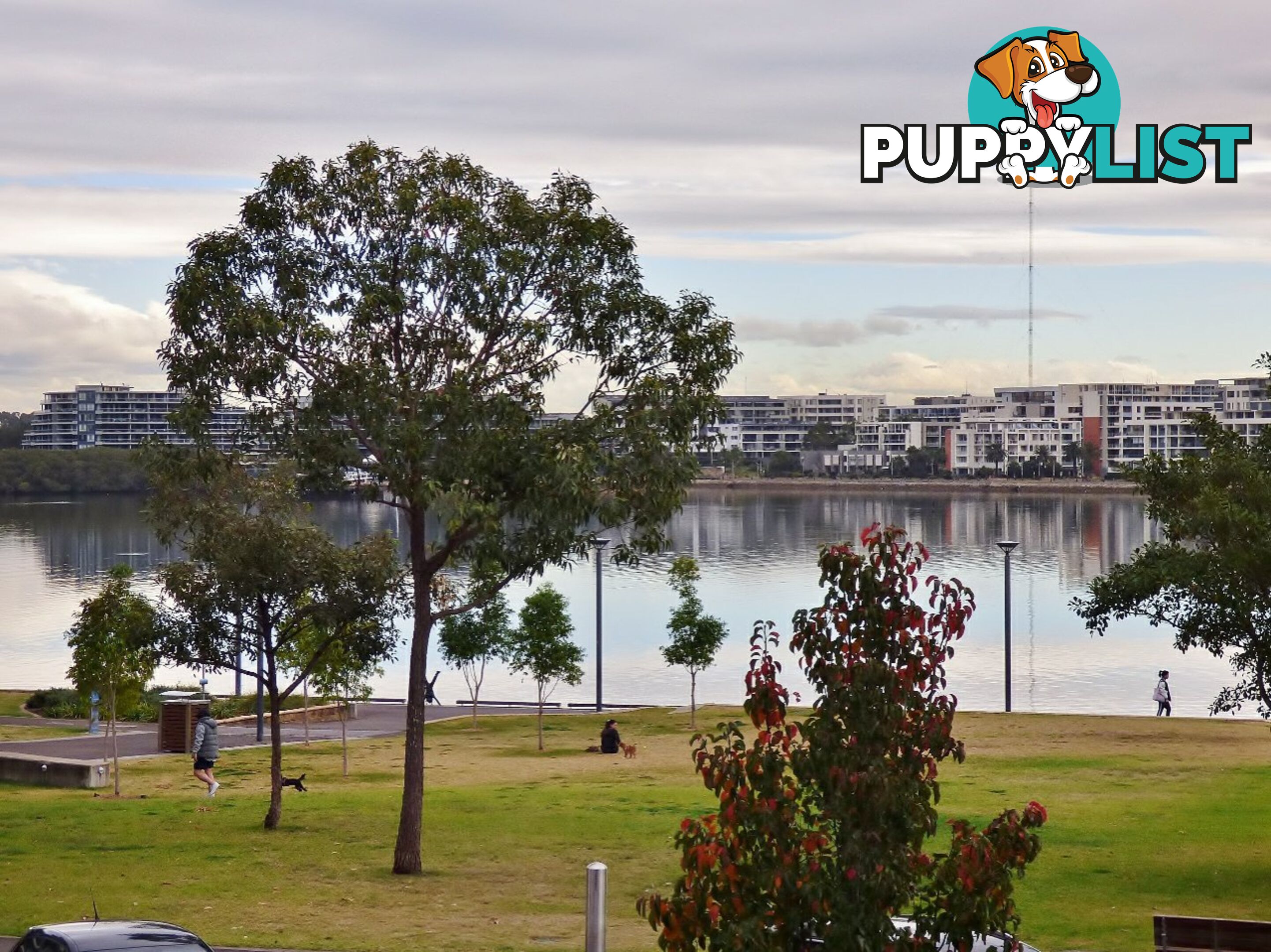 264/8A Mary St RHODES NSW 2138