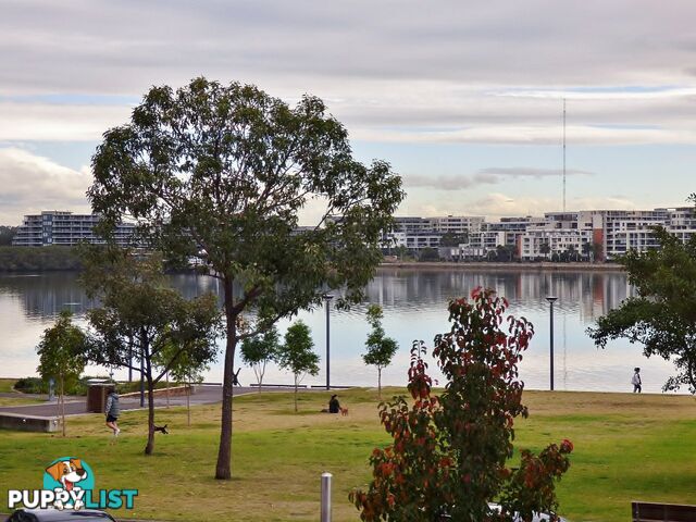 264/8A Mary St RHODES NSW 2138