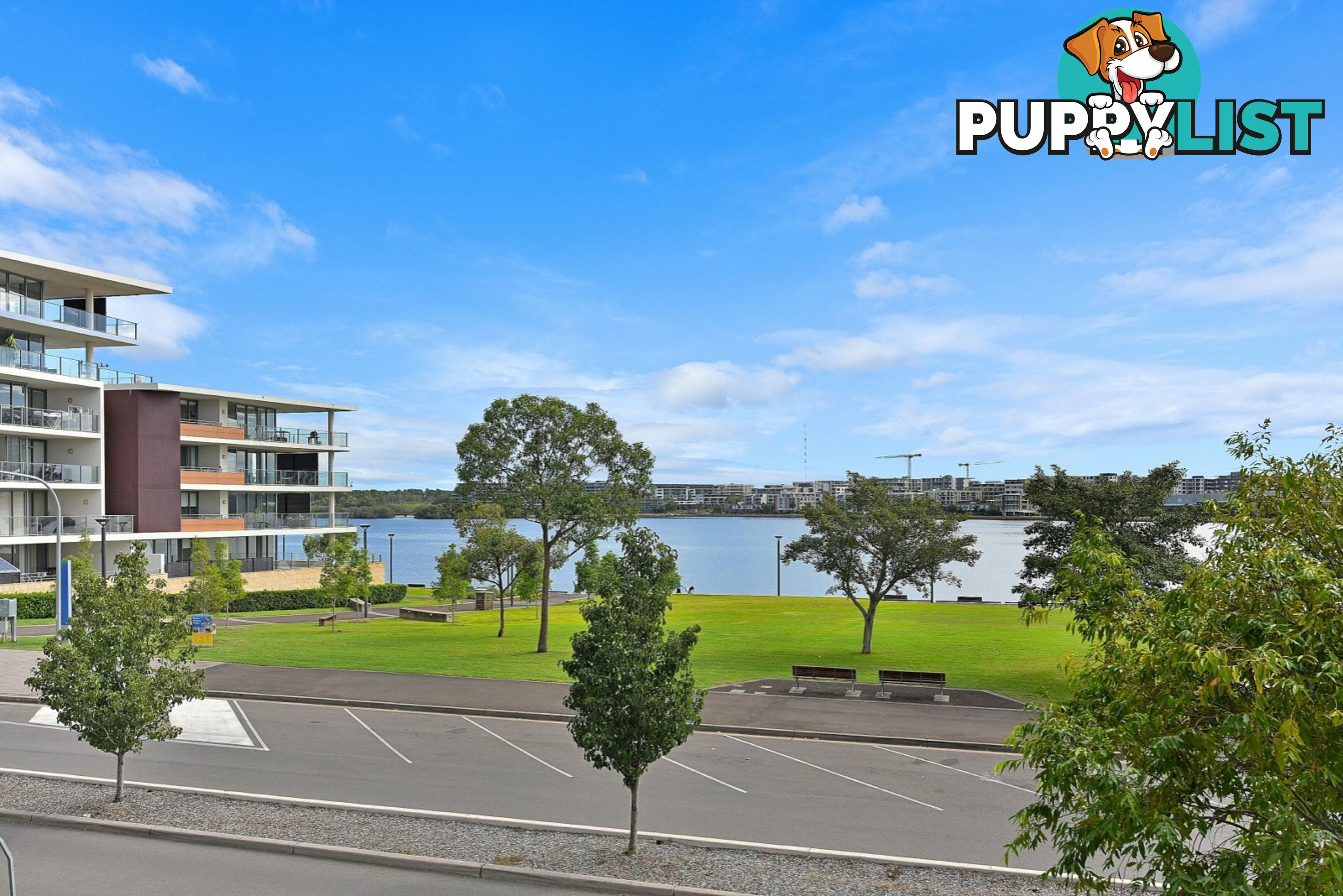264/8A Mary St RHODES NSW 2138