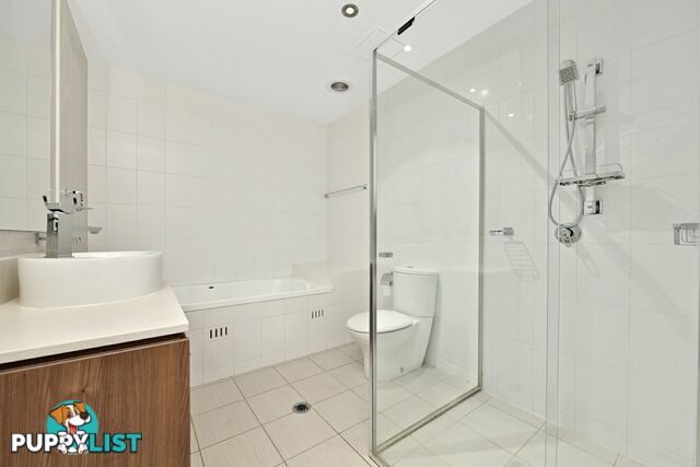 264/8A Mary St RHODES NSW 2138