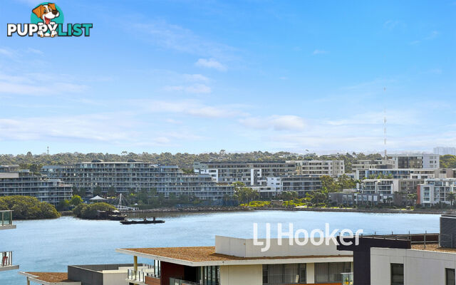 307/88 Rider Boulevard RHODES NSW 2138