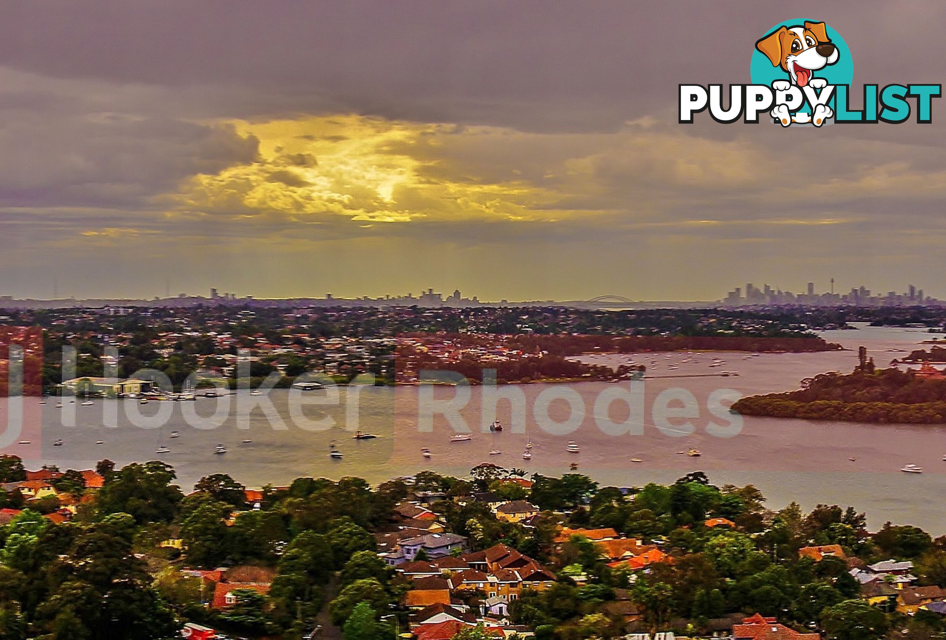 87 Shoreline Drive RHODES NSW 2138