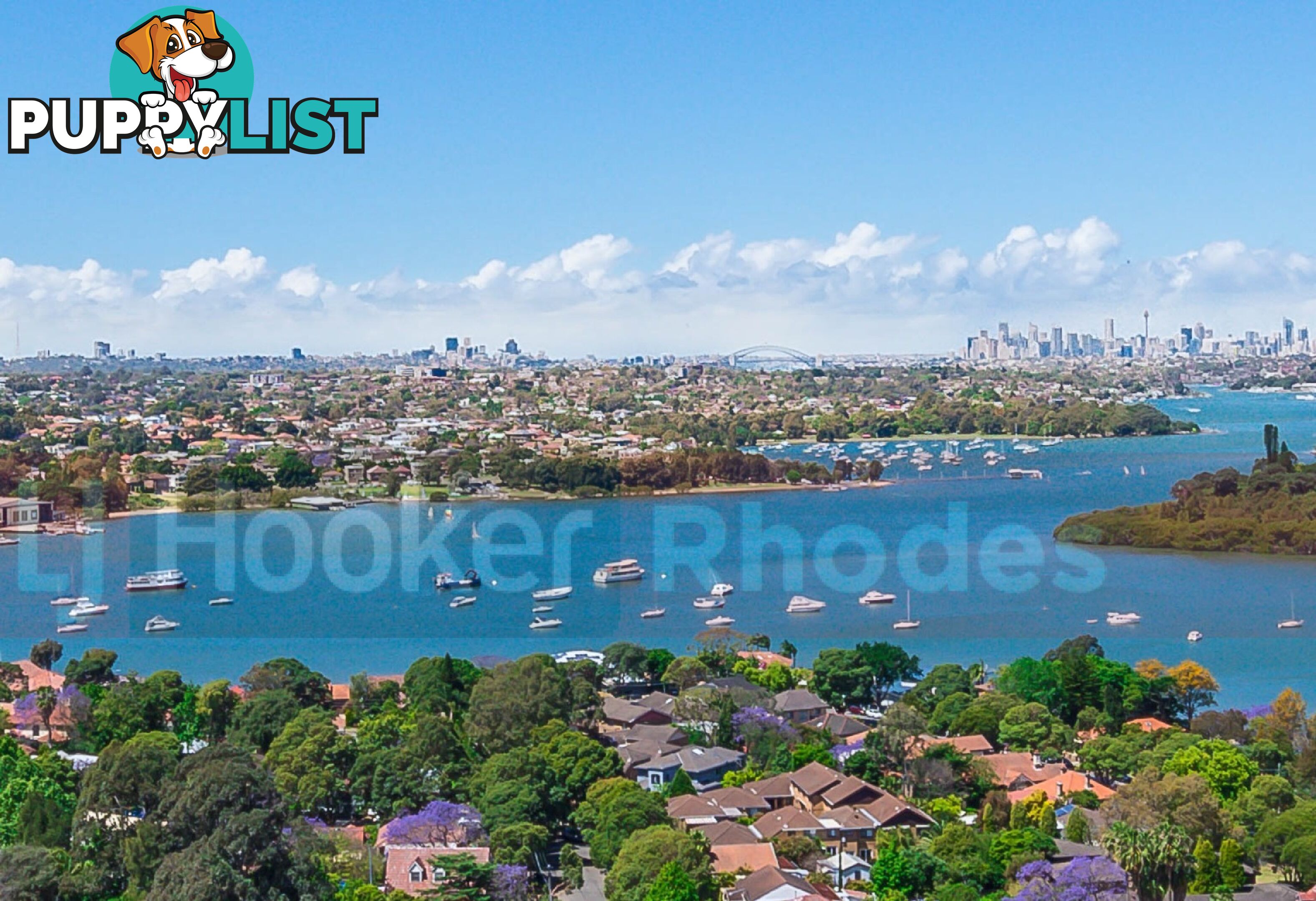 87 Shoreline Drive RHODES NSW 2138