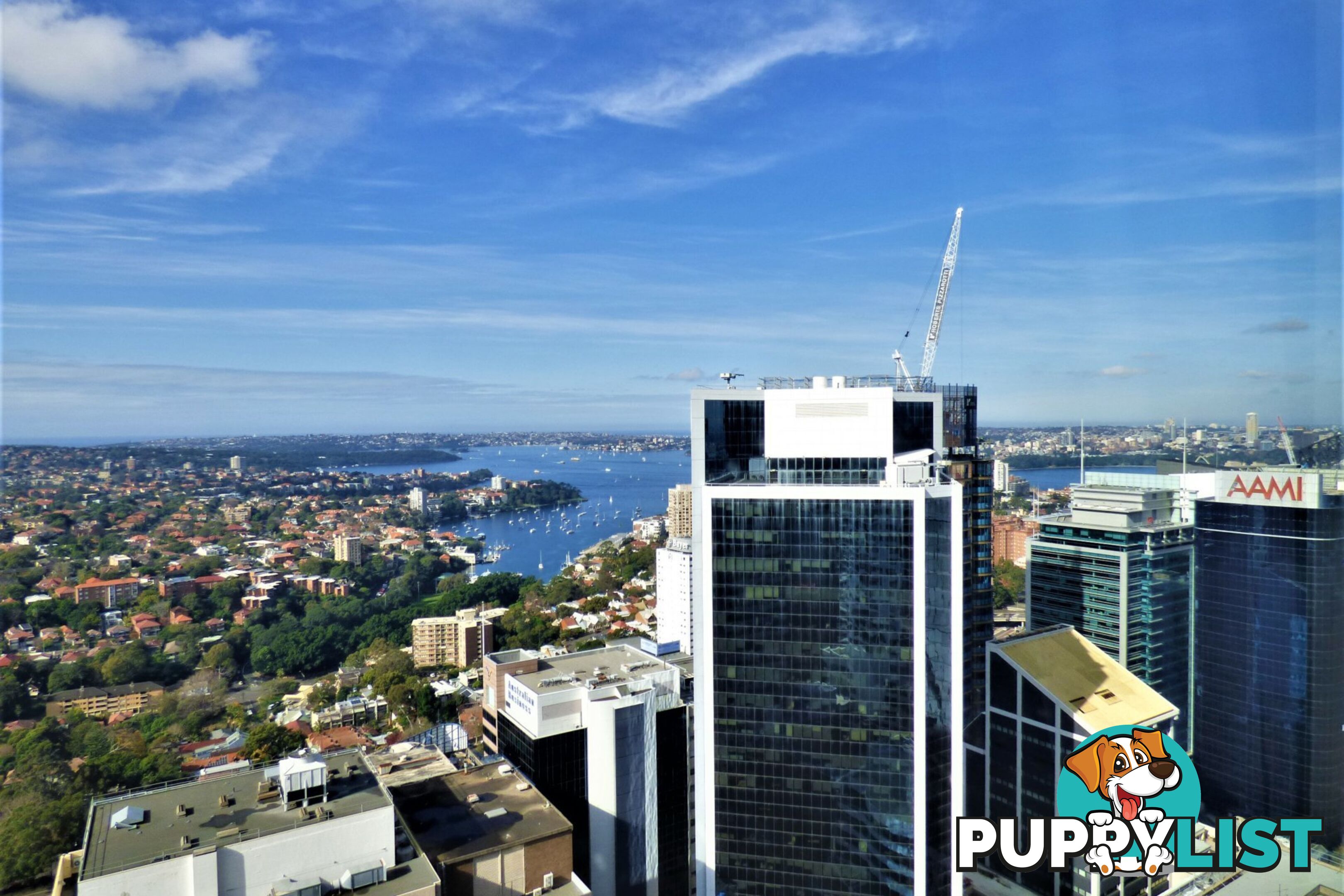 2907/77 Berry Street NORTH SYDNEY NSW 2060