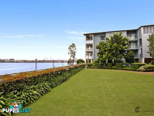 302/11 Lewis Ave RHODES NSW 2138