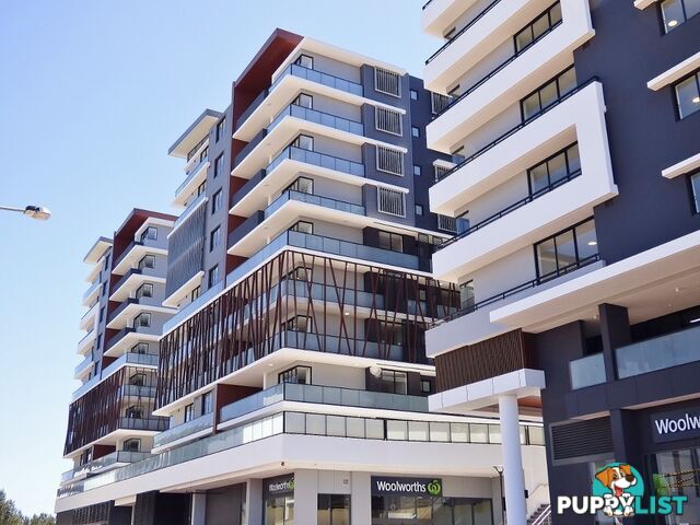 311/2B Charles Street CANTERBURY NSW 2193