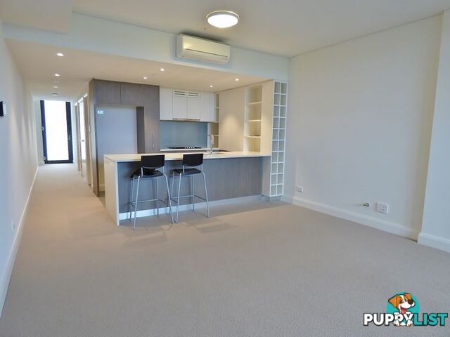 304/42 Walker St RHODES NSW 2138