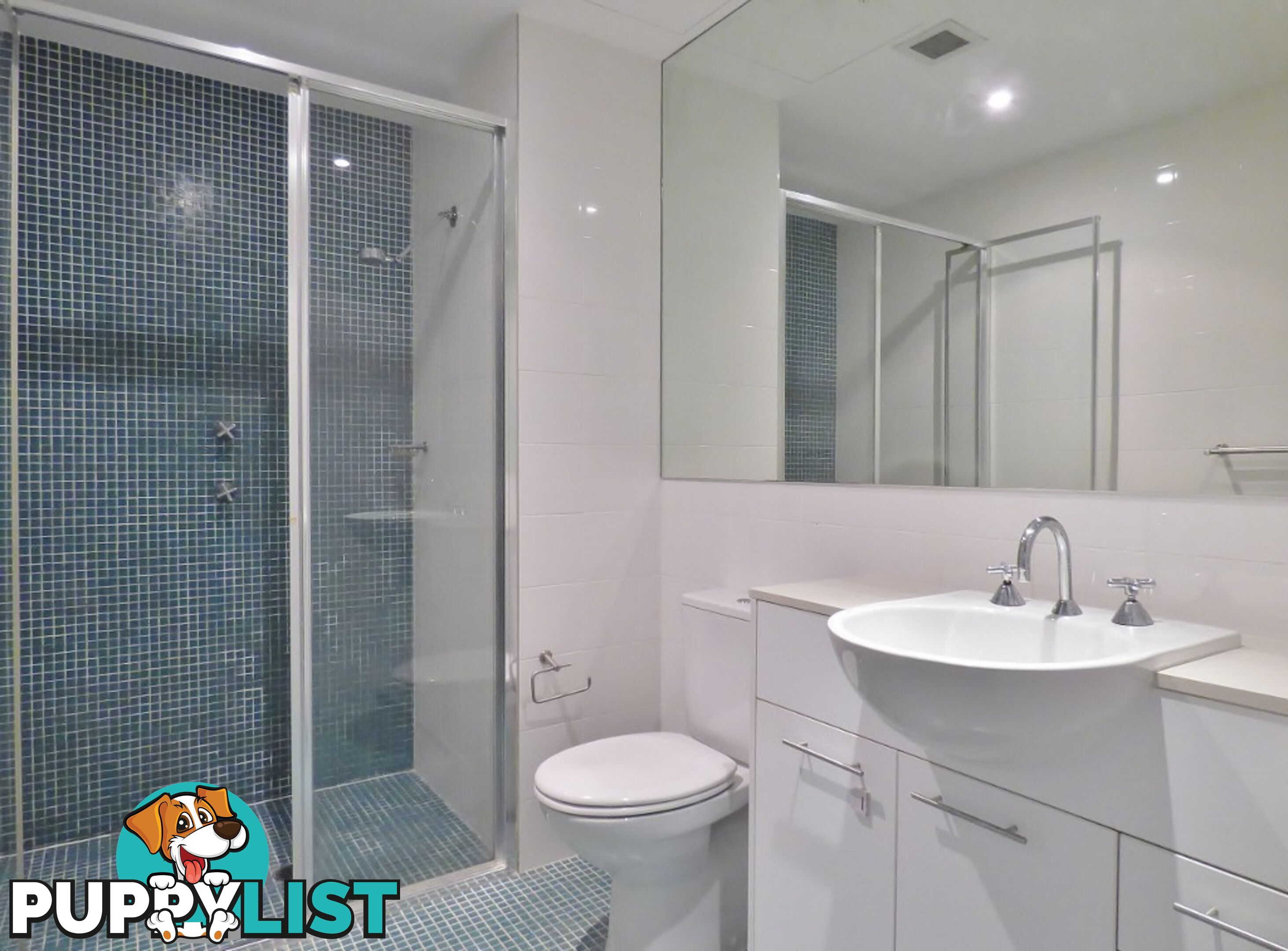 102/28 Rider Boulevard RHODES NSW 2138