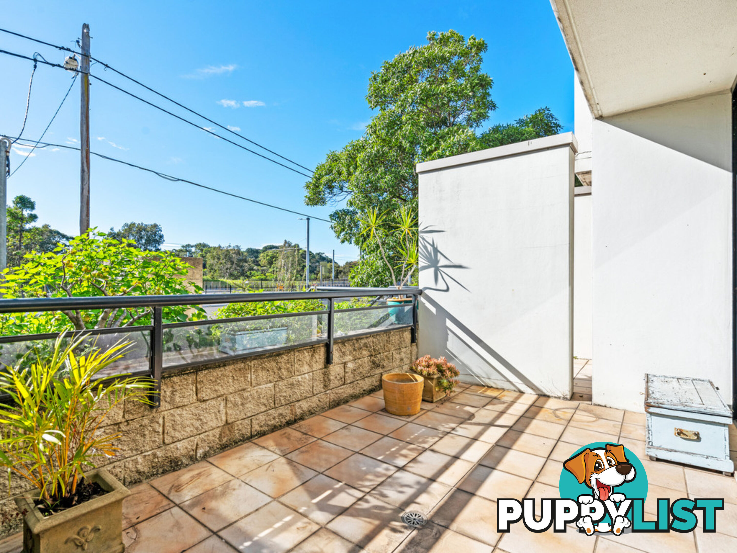 2/17-19 Alison Rd KENSINGTON NSW 2033