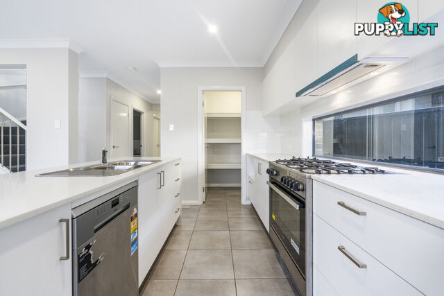 38B Cumberland St GREGORY HILLS NSW 2557