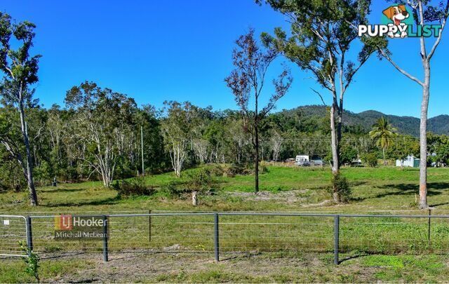 45 Leeder Road PALM GROVE QLD 4800