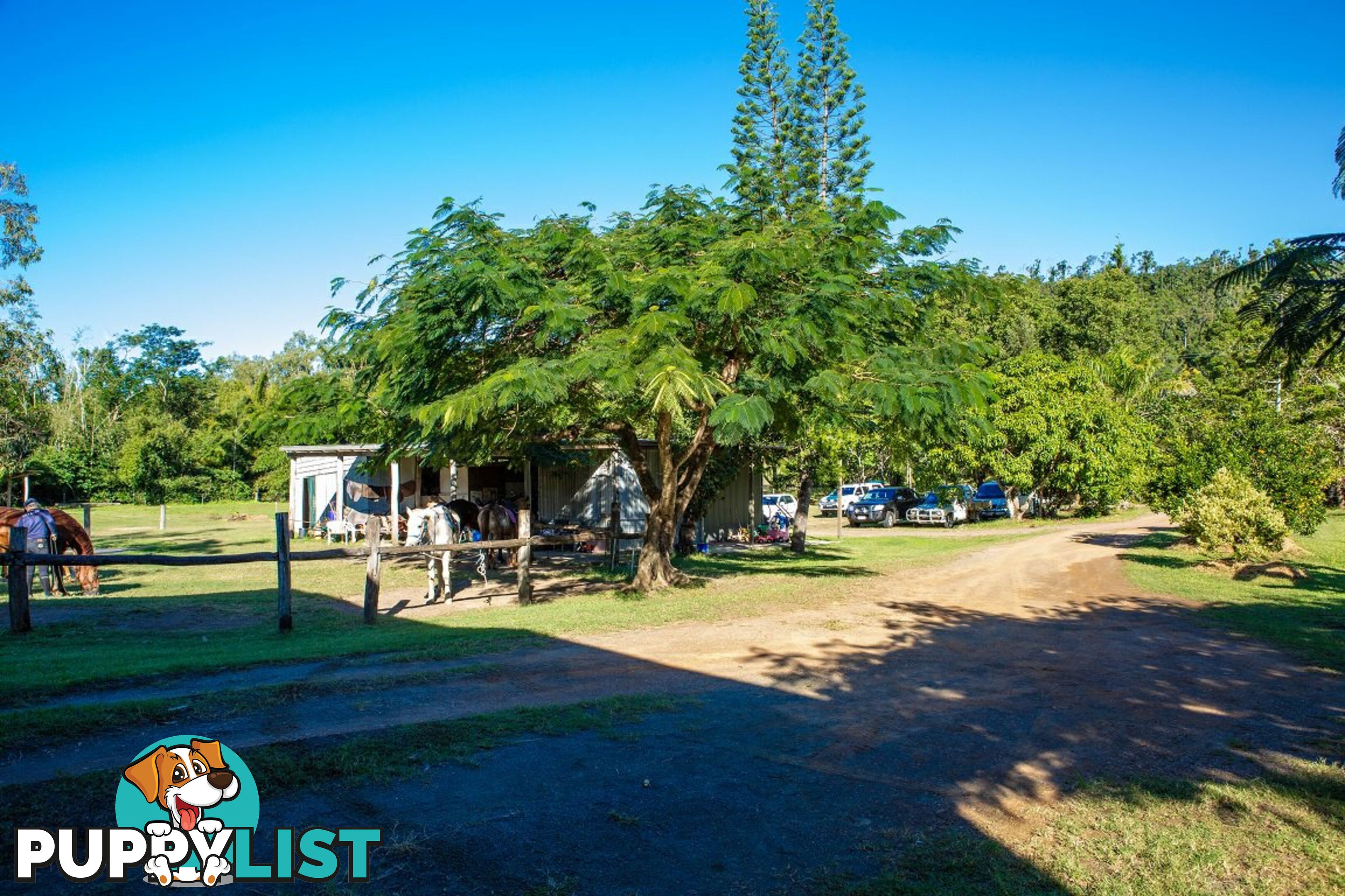 18 Moon Crescent SUGARLOAF QLD 4800