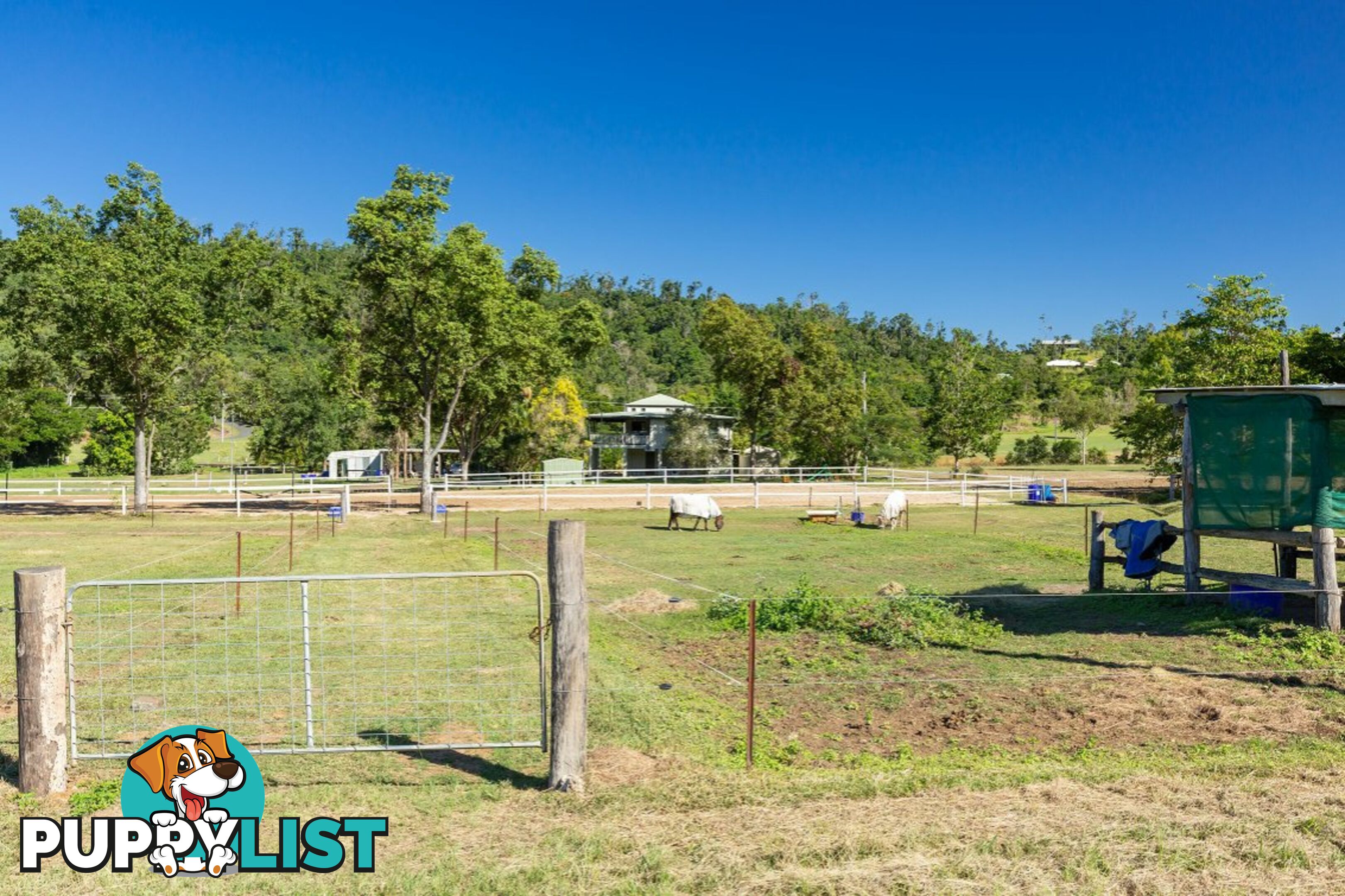 18 Moon Crescent SUGARLOAF QLD 4800