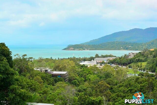 31/15 Flametree Court AIRLIE BEACH QLD 4802