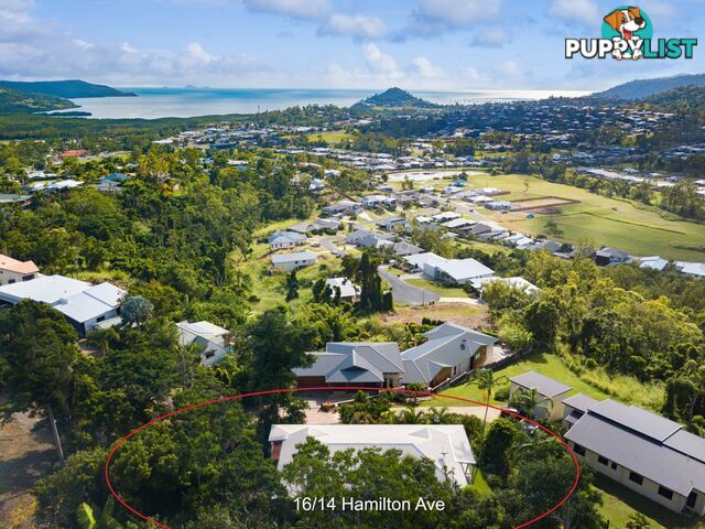 16/14 Hamilton Avenue CANNONVALE QLD 4802