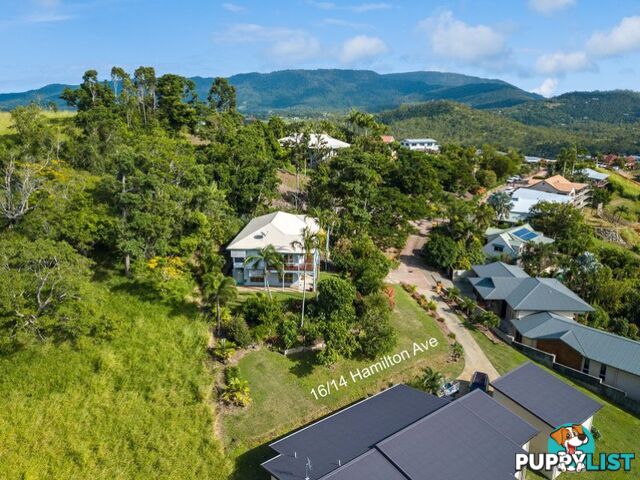 16/14 Hamilton Avenue CANNONVALE QLD 4802