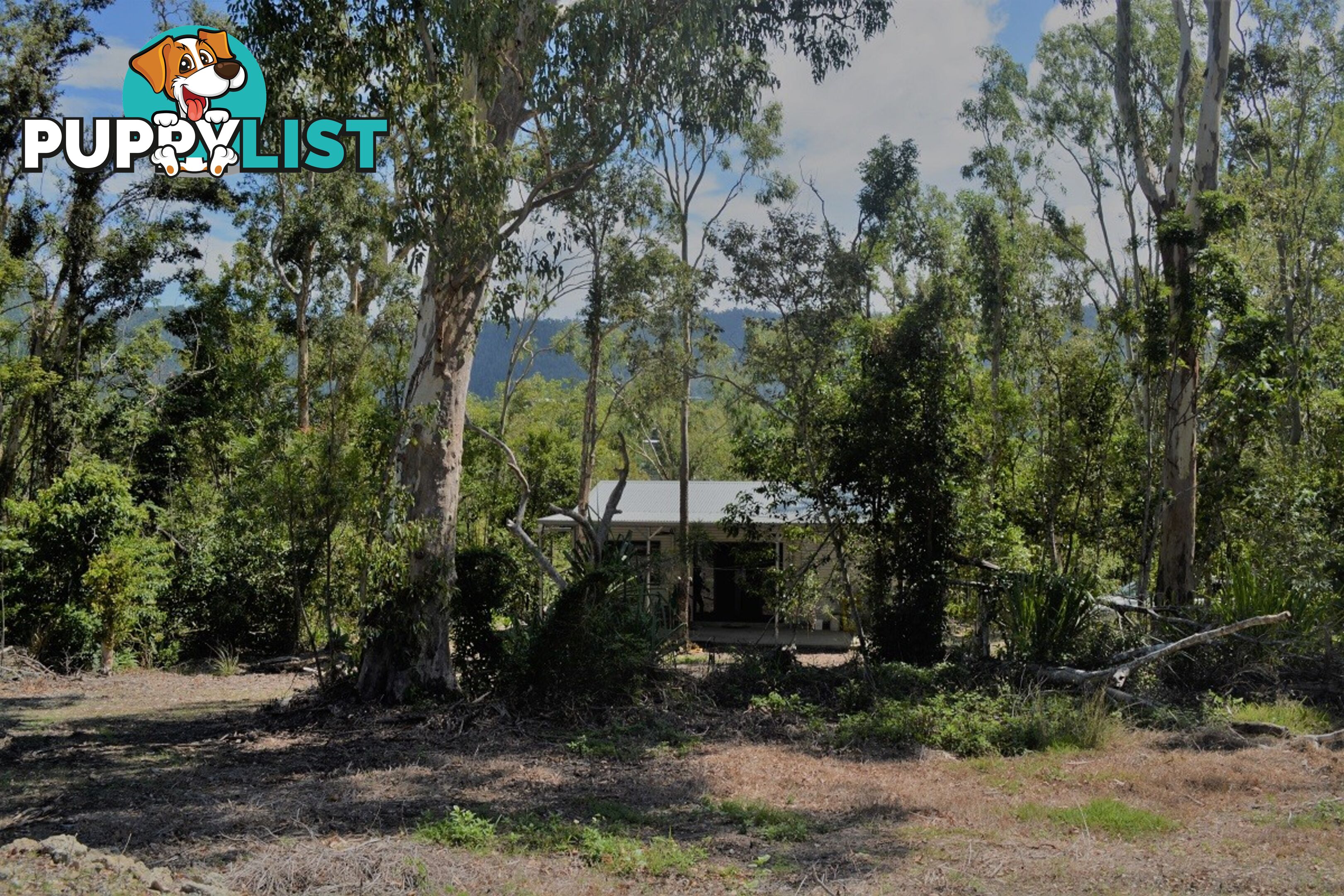 Lot 3 Mandalay Road MANDALAY QLD 4802