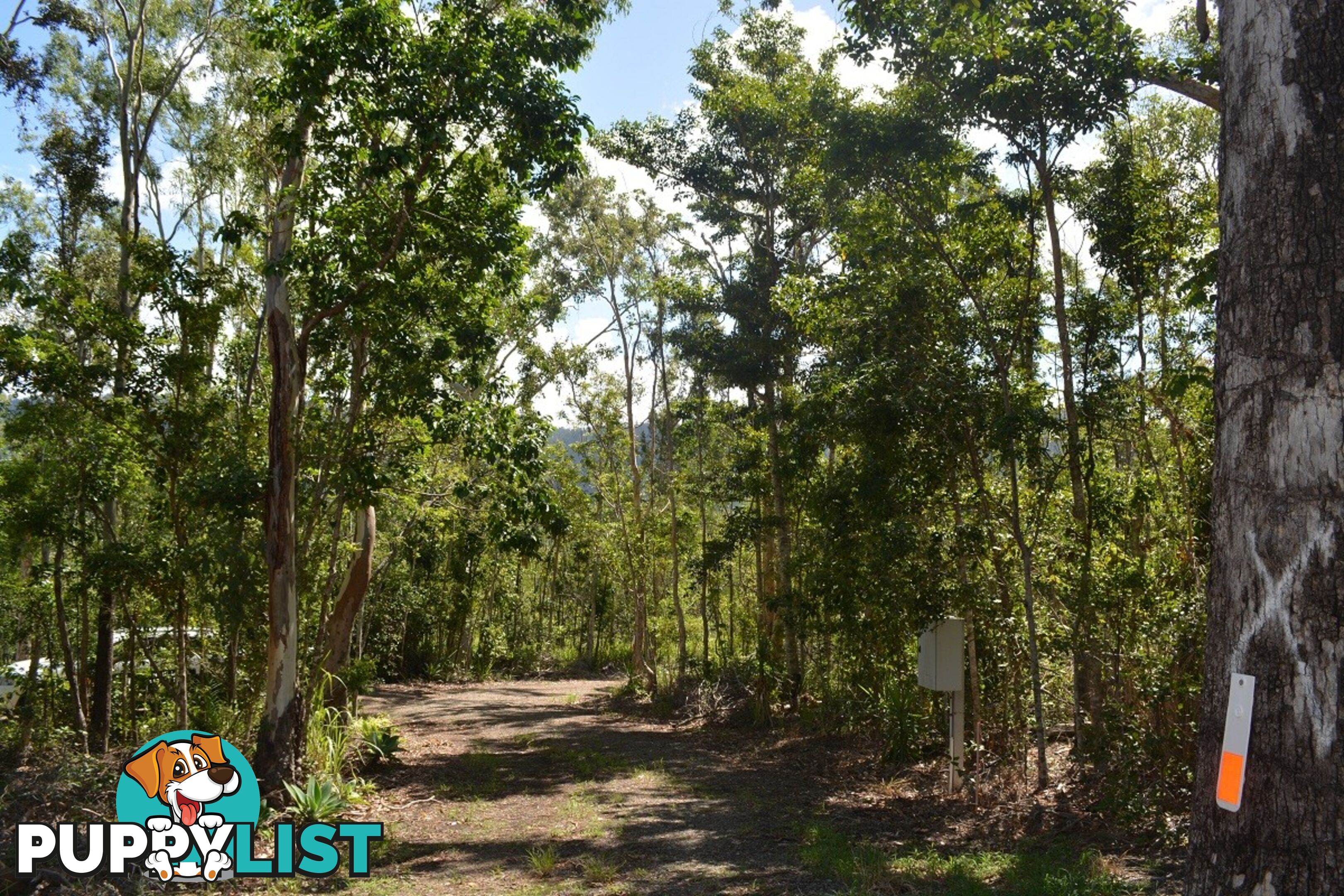 Lot 3 Mandalay Road MANDALAY QLD 4802