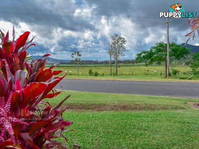 67 Camm Road MOUNT JULIAN QLD 4800