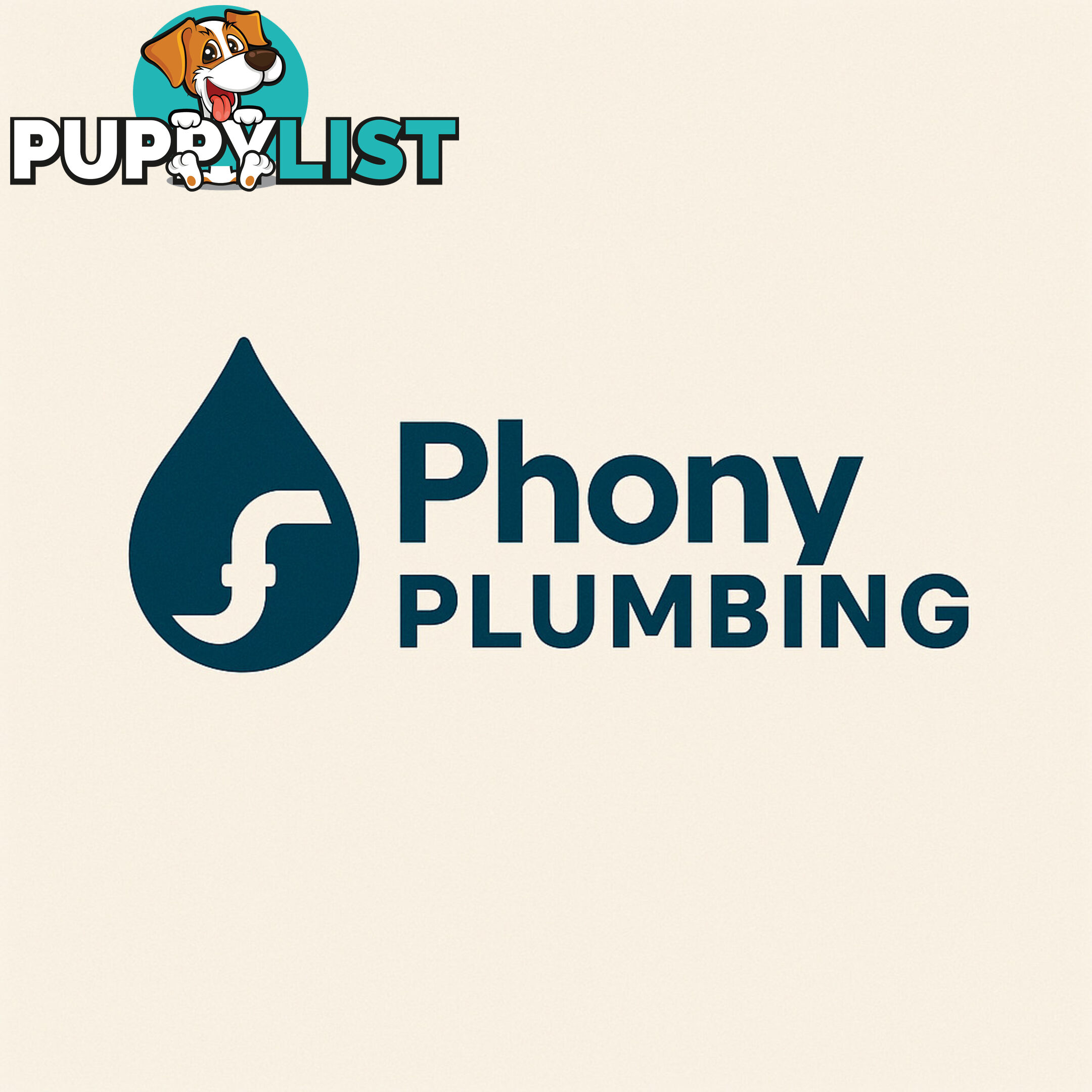 Phony Plumbing