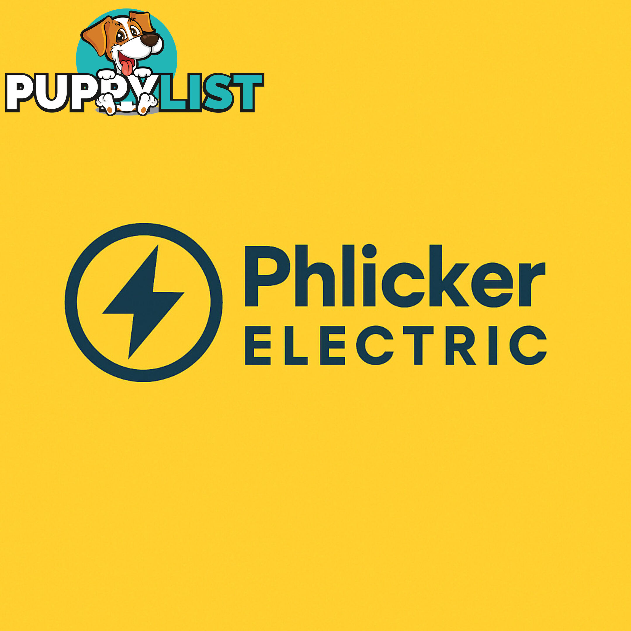 Phlicker Electric