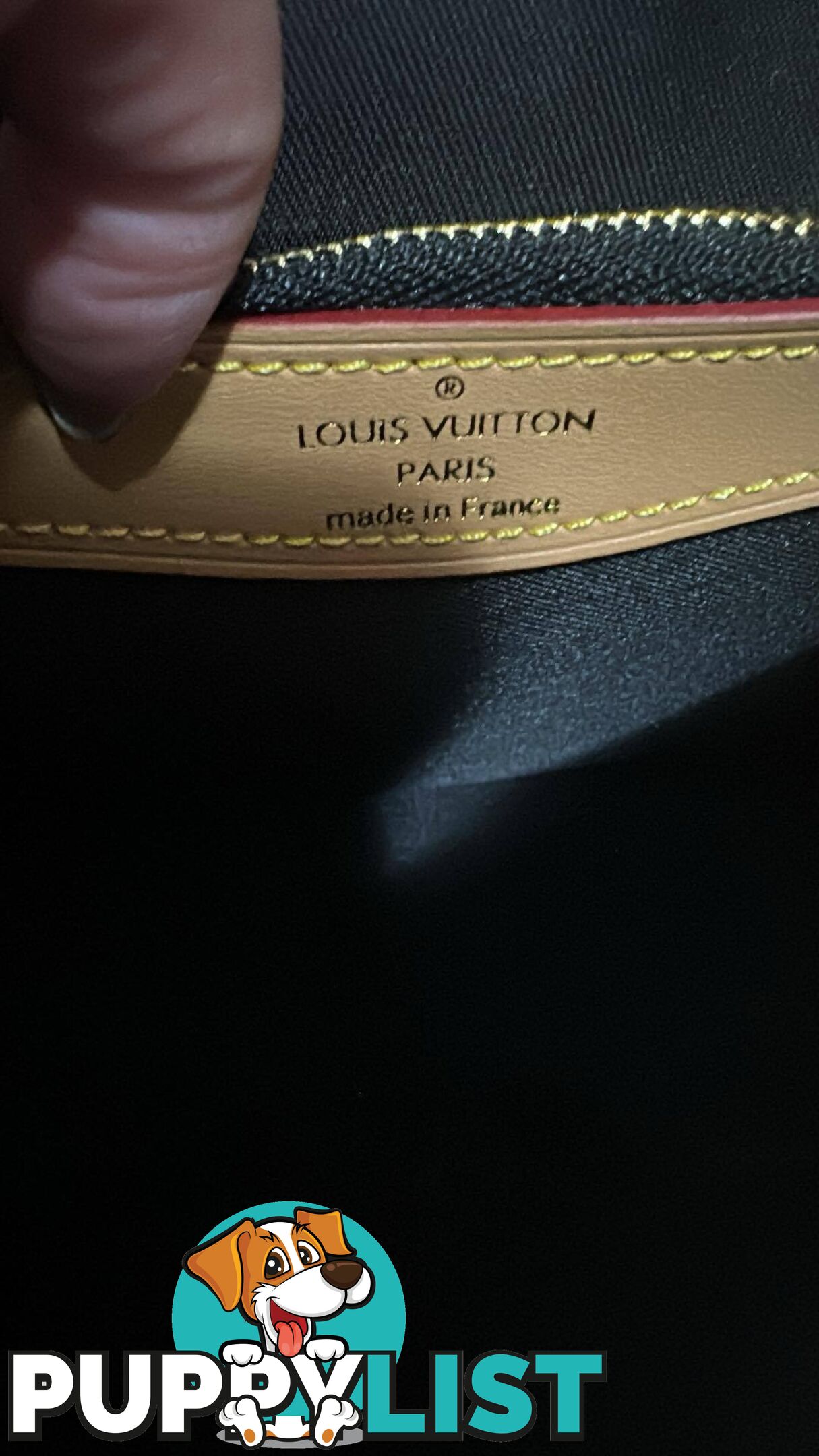 Louis Vuitton Diane Monogram Bag