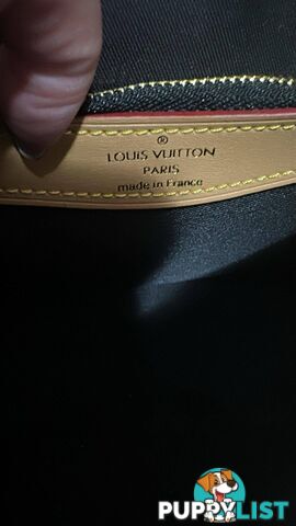 Louis Vuitton Diane Monogram Bag