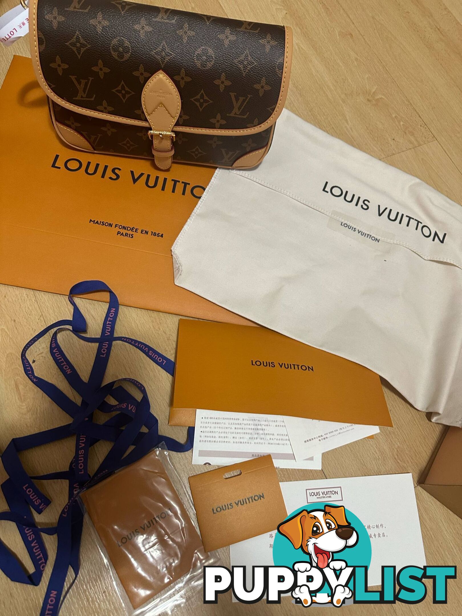 Louis Vuitton Diane Monogram Bag