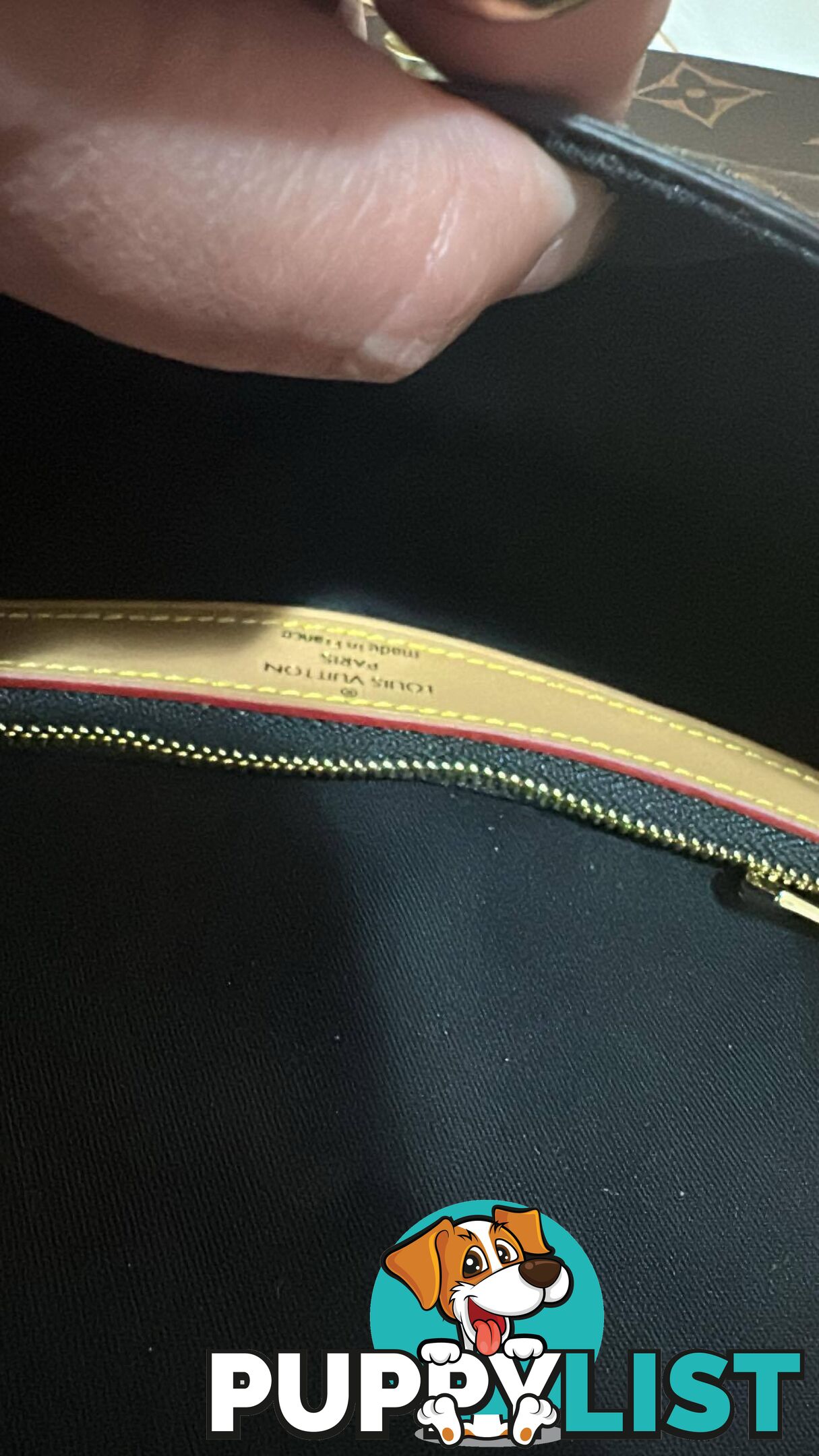 Louis Vuitton Diane Monogram Bag