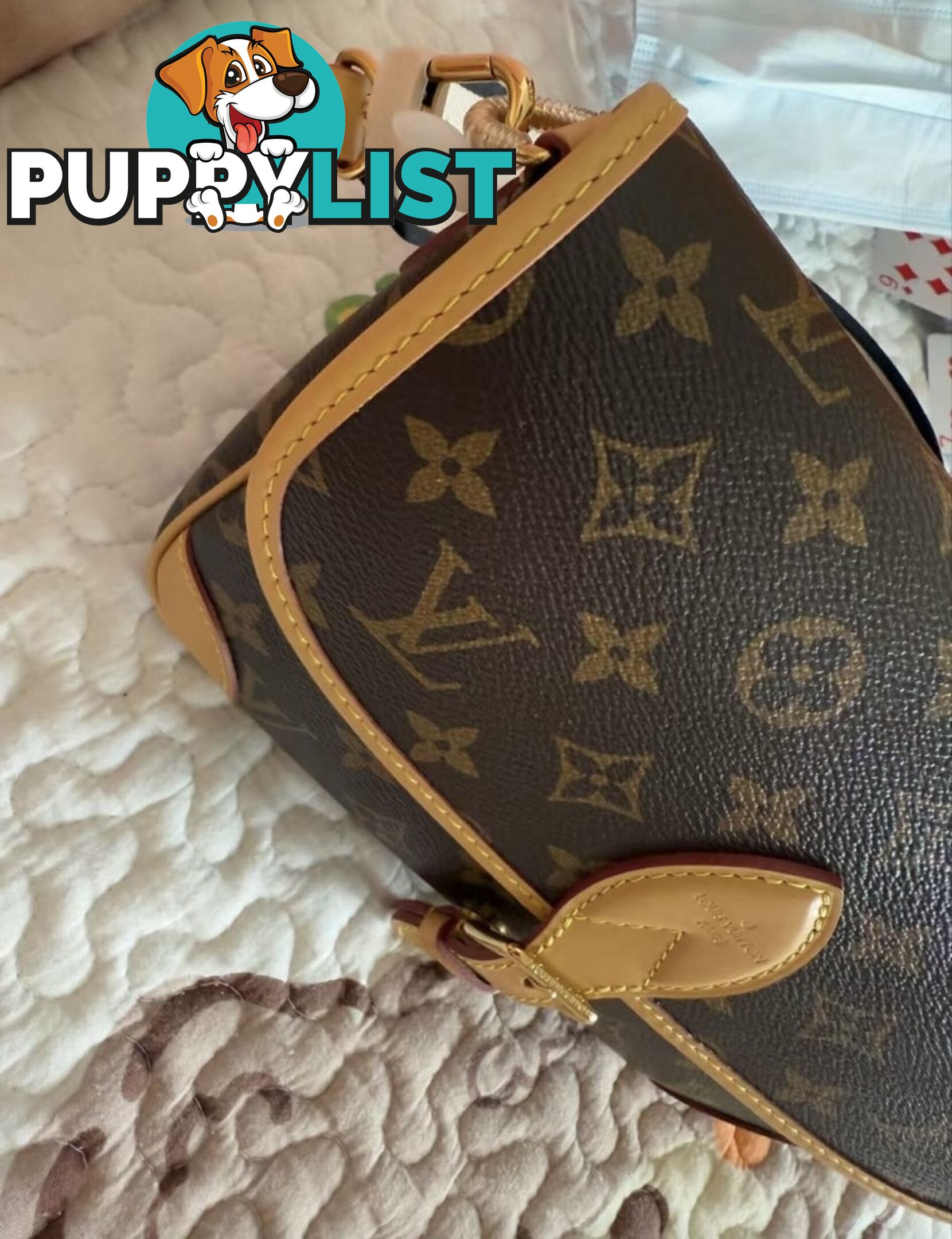 Louis Vuitton Diane Monogram Bag