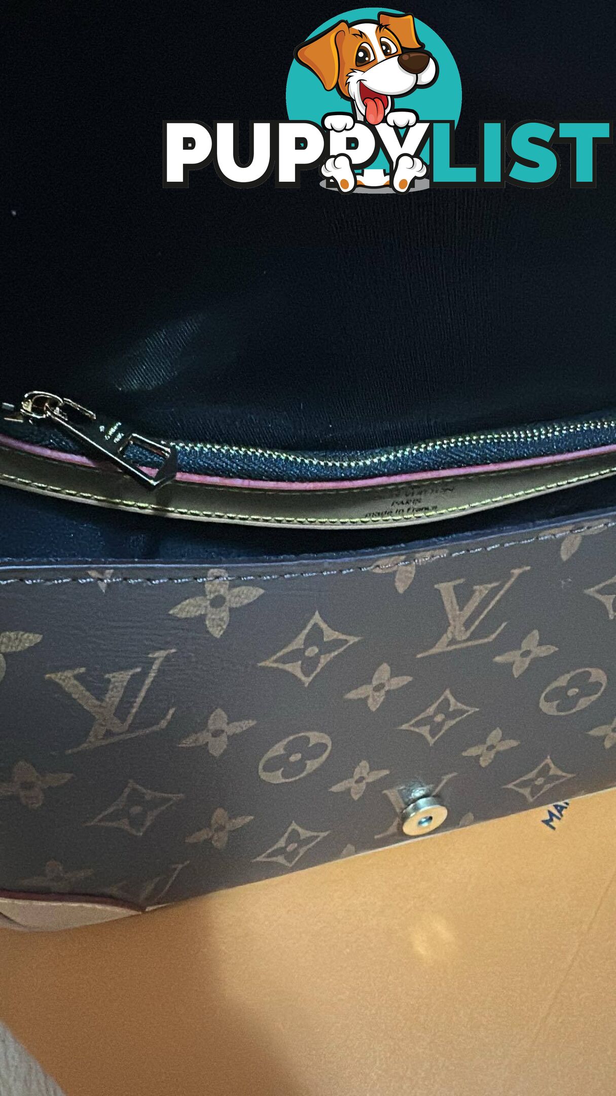 Louis Vuitton Diane Monogram Bag