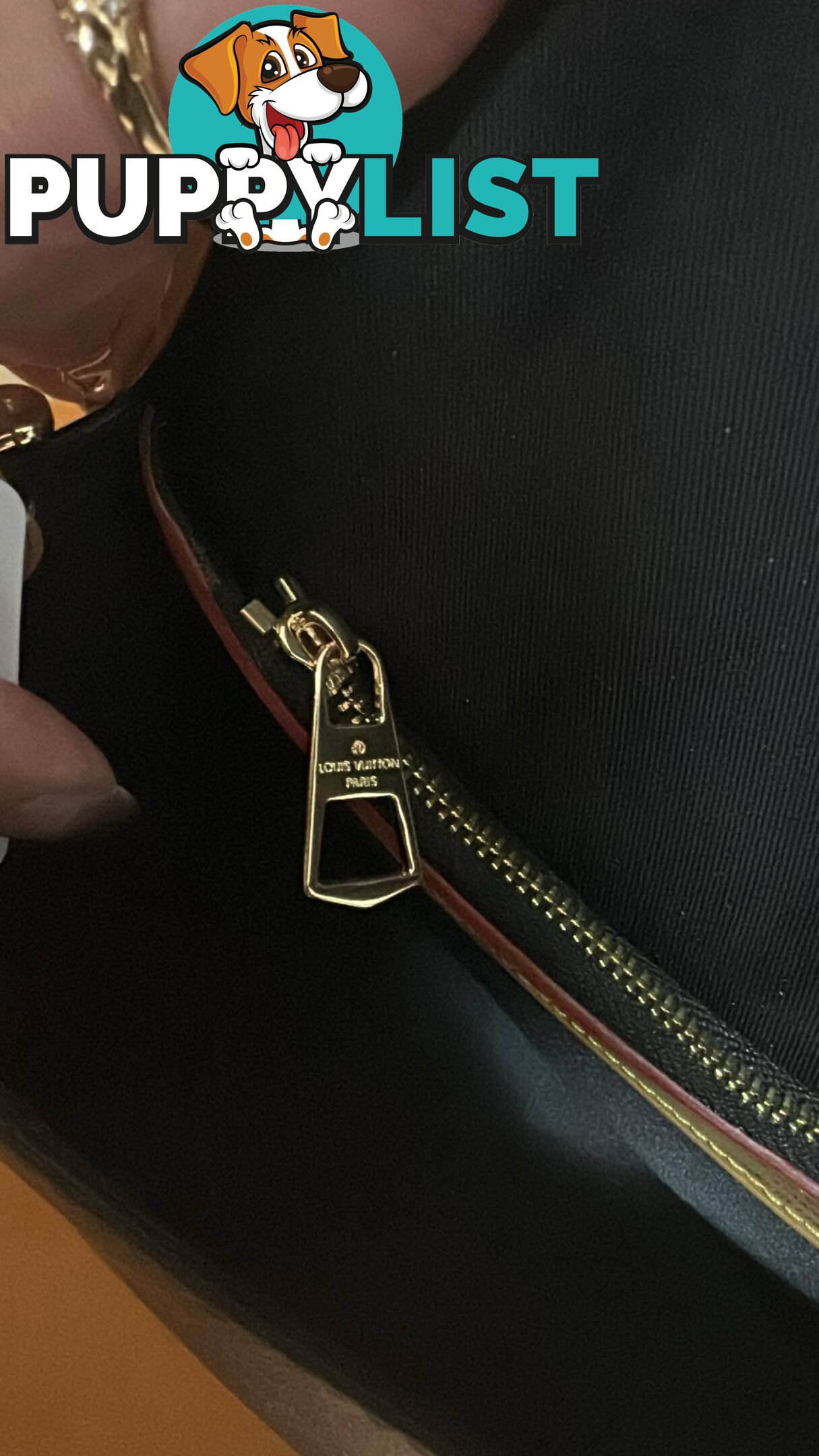 Louis Vuitton Diane Monogram Bag