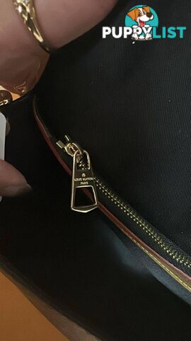 Louis Vuitton Diane Monogram Bag