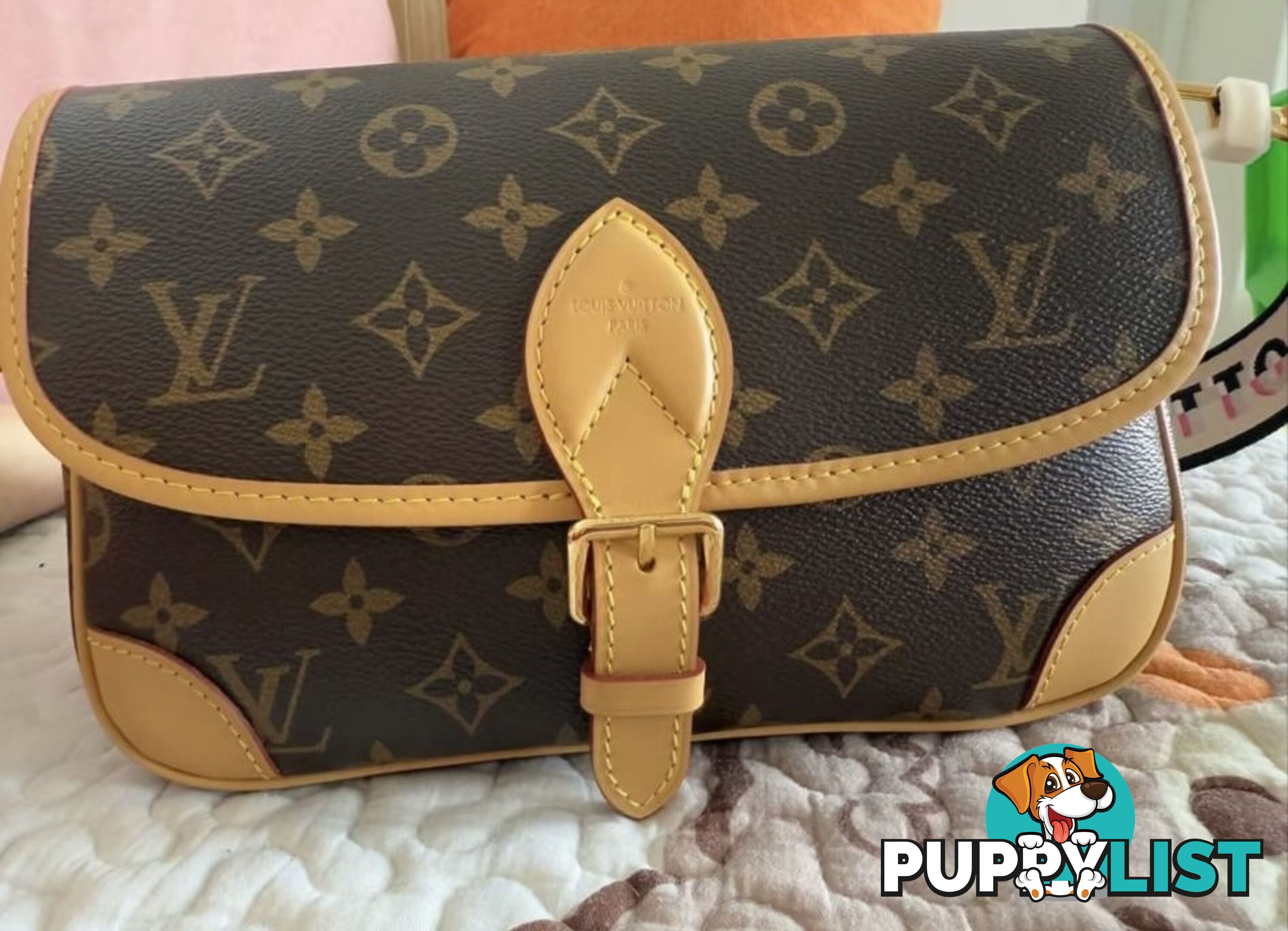 Louis Vuitton Diane Monogram Bag