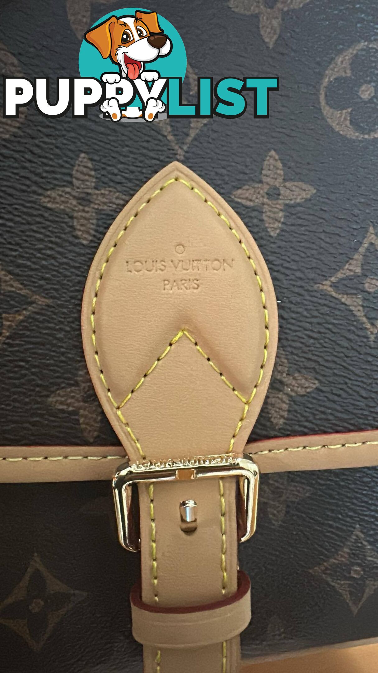 Louis Vuitton Diane Monogram Bag