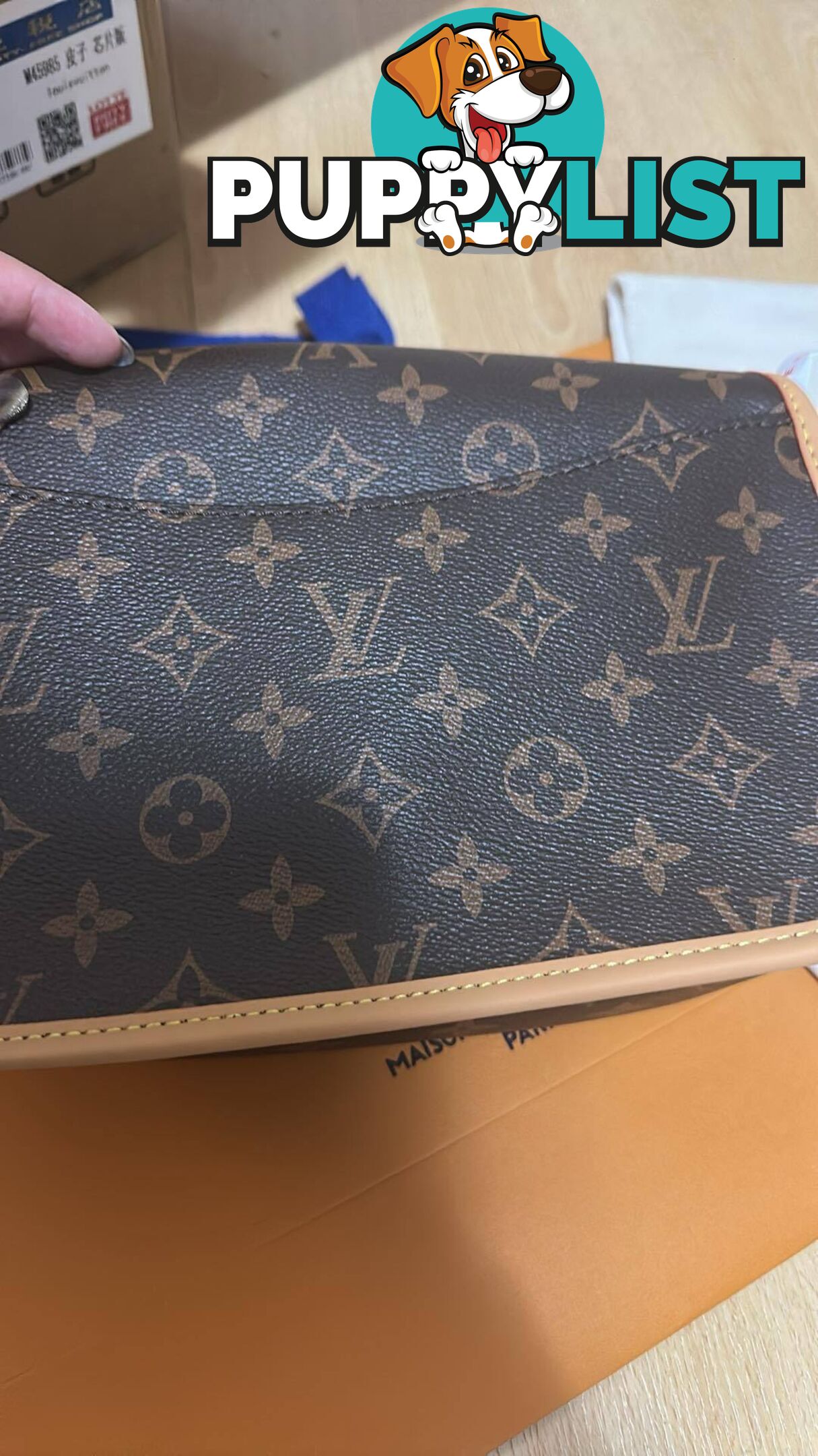 Louis Vuitton Diane Monogram Bag