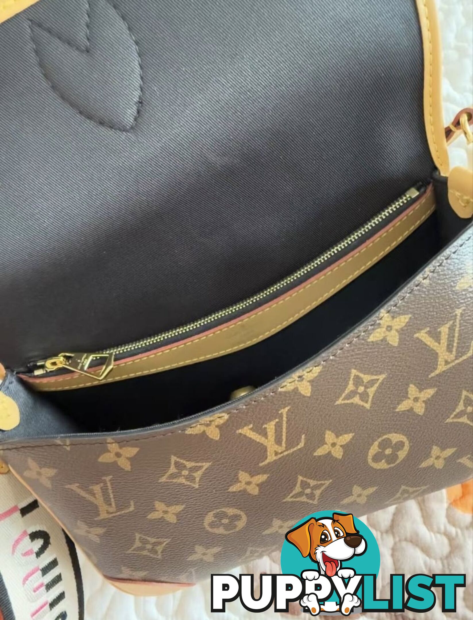 Louis Vuitton Diane Monogram Bag