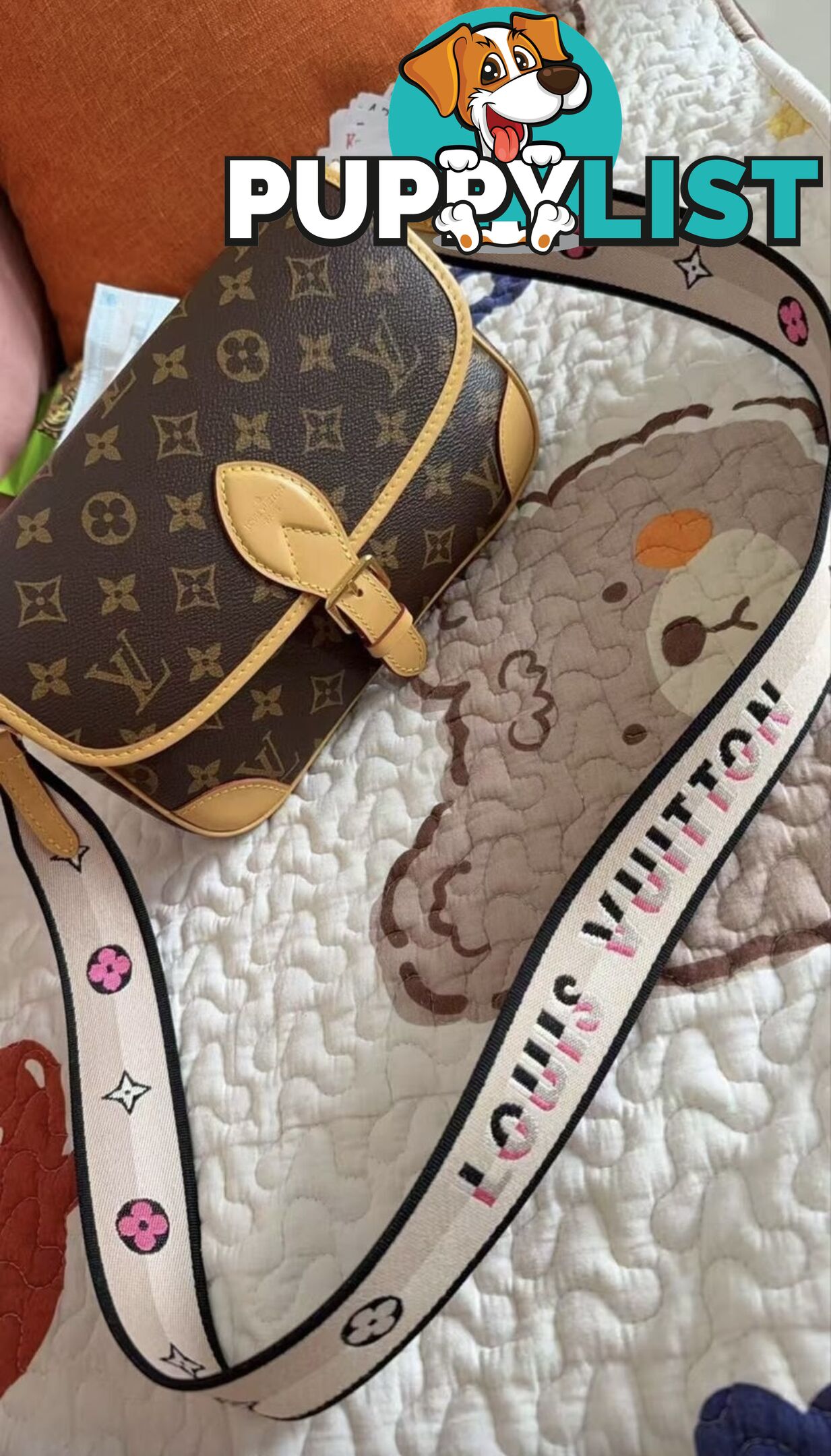 Louis Vuitton Diane Monogram Bag