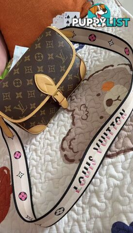 Louis Vuitton Diane Monogram Bag