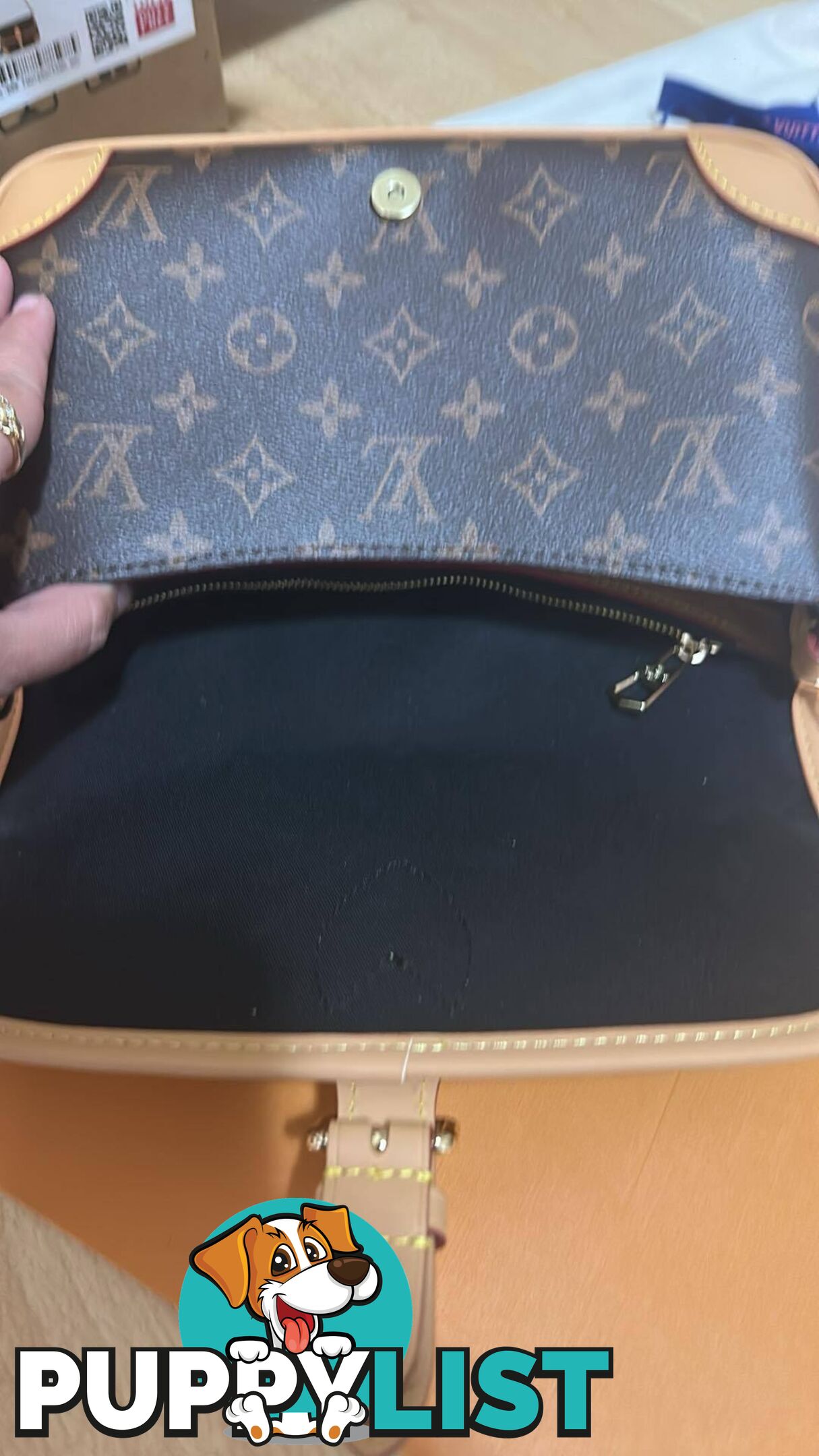 Louis Vuitton Diane Monogram Bag